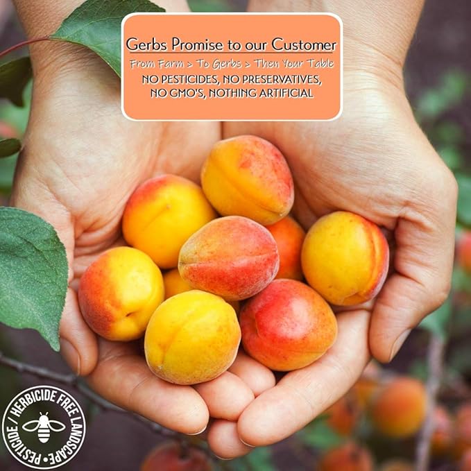 Gerbs Dried Apricots 4 lbs. | Unsulfured, No Artificial Additives, Resealable Bag | Naturally Sweet & Chewy | Top 14 Allergen-Free