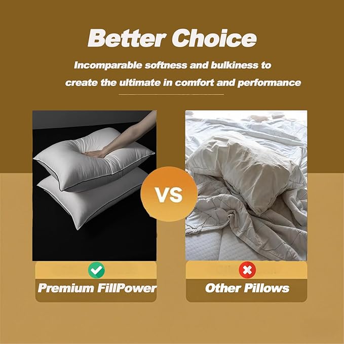 Luxurious Down Pillows - Standard Size, High Fill Power, Breathable Cotton Blend Shell,Down Pillow Ideal for Every Night (Pure White, Standard (Pack of 1))