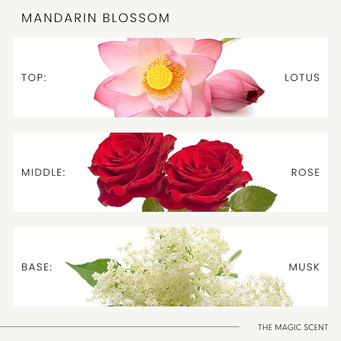 The Magic Scent Mandarin Blossom Diffuser Oil - Hotel & Home Luxury Scents Inspired by The Maldives - Diffuser Oil Scents for Home Designed for Use in All Diffusers - 4 fl oz, 120 mL