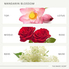 The Magic Scent Mandarin Blossom Diffuser Oil - Hotel & Home Luxury Scents Inspired by The Maldives - Diffuser Oil Scents for Home Designed for Use in All Diffusers - 4 fl oz, 120 mL
