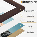 Vittanly 10 Pack Picture Frames Collage Wall Decor, Gallery Frame Set for Wall Mounting or Tabletop Display, Multi Sizes Including 2pcs 8x10, 4pcs 5x7, 4pcs 4x6, Light Brown