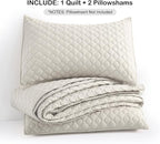 HORIMOTE HOME Quilt Set Queen Size Beige Bedspread, Modern Style Quilted Clouds Pattern Soft Coverlet Set Lightweight Microfiber for All Season, 3 Pieces Includes 1 Quilt and 2 Pillow Sham