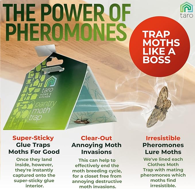 Taro Pantry Moth Traps with Pheromones - 6-Pack with Bonus Hangers - Moth Killer for Kitchen, Pantry, Closet - Sticky Moth Traps for House Indoor - Get Rid of Moths