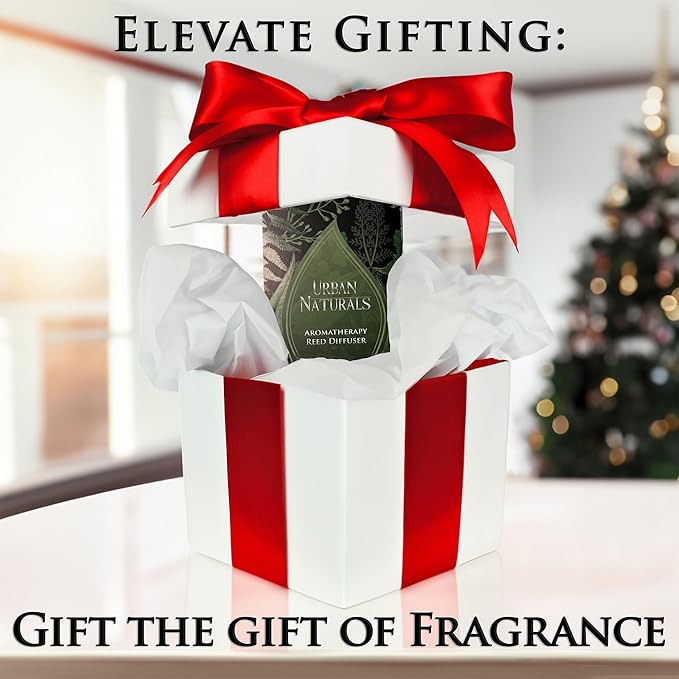 Urban Naturals Christmas Night Reed Diffuser Set – Cinnamon Spice, Almond, Clove, Cedarwood, Fresh Balsam and Fir Needle – 5 Ounce Sleek Black Rectangular Refillable Glass Bottle – Made in The USA