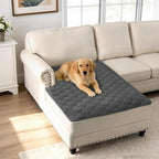 H.VERSAILTEX Couch Cover Chenille Pet Fuzzy Sofa Covers for 2 Cushion Couch Anti Slip Washable Sofa Slipcovers with Strap Soft Couch Protector Cover for Dogs Cats Kids(40" x 50", Grey)