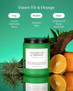 M&SENSE Fraser Fir Pine Scented Candles Large Candle for Home 19.4oz 110 Hour Clean Non Toxic Long Lasting Organic Natural Soy Wax Highly Scented Holiday Candle Gifts for Home Decor