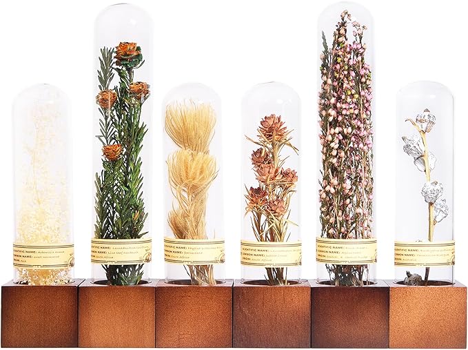 6Pcs Dried Flower Decor,Knick Knacks for Shelves,Cool Stuff for Bookshelf,Small Plants Decor for Office Shelves,Natural Green Plants Boho Shelf Decor,Apothecary Decor,Unique Gifts for Women,Friends