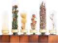 6Pcs Dried Flower Decor,Knick Knacks for Shelves,Cool Stuff for Bookshelf,Small Plants Decor for Office Shelves,Natural Green Plants Boho Shelf Decor,Apothecary Decor,Unique Gifts for Women,Friends