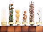 6Pcs Dried Flower Decor,Knick Knacks for Shelves,Cool Stuff for Bookshelf,Small Plants Decor for Office Shelves,Natural Green Plants Boho Shelf Decor,Apothecary Decor,Unique Gifts for Women,Friends