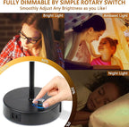 HiBay 2-Pack 17.75" Dimmable Bedside Table Lamps with 2 USB Charging Ports & AC Outlet, Industrial Black Nightstand Lights with Silver-Gray Shade for Living Room Dorm Office, Bulb Included