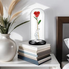 12"Hx 5.5"D Glass Display Dome Cloche with Wood Base, Cloche Bell Jar for Gold Dipped Rose, Antique Collectibles,Figurine, DIY Snow Globes, Plant