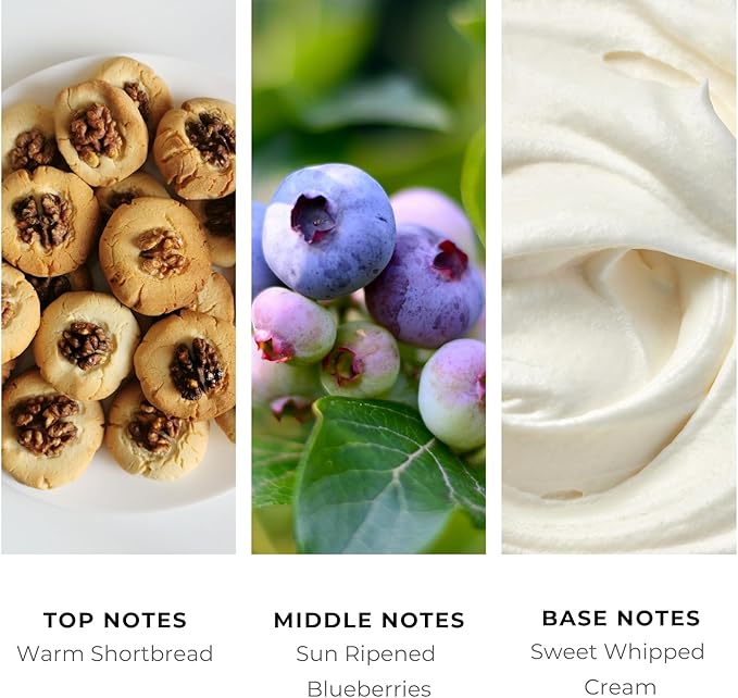 Brilliant Scents Blueberry Shortbread Fragrance Oil 200ml - Premium Diffuser Oil for Home, Office, Hotels - Long Lasting, Plant-Based, Meets IFRA Standards, USA-Made - Blueberries, Whipped Cream Scent