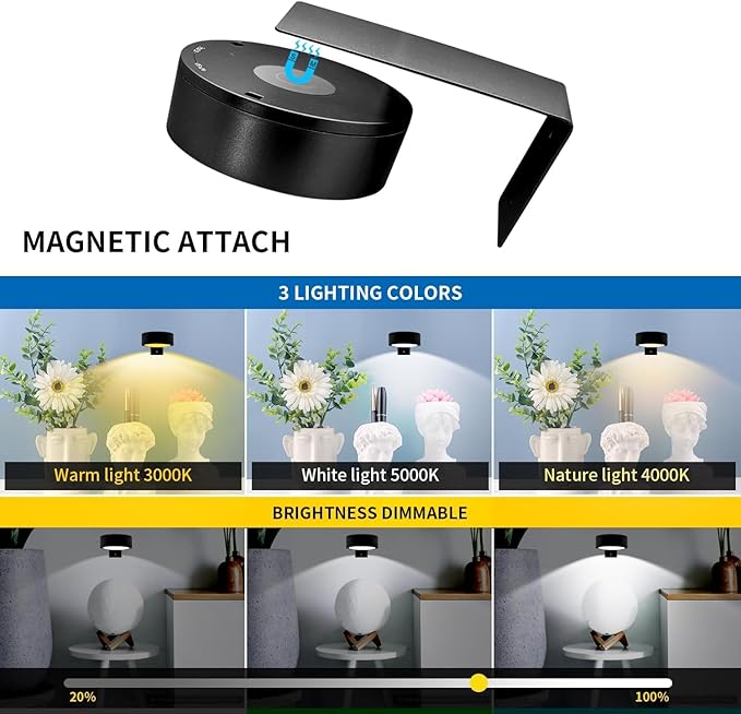 Wall Mounted Picture Light, Magnetic Poster Light, 13 Types of RGB, Remote Dimming Timer, Art Display Wall Mounted Decorative Light