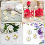 Honoson 12 Pcs Scented Tealights Dried Flower Candles Wedding Bridesmaid Gift 4 Floral Scents Jasmine Lavender Rose and Globe Purple 8-hour Smokeless Tealight Candles for Wedding Bridal Shower Spa