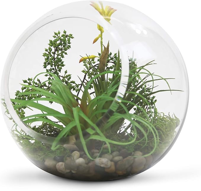 WGV Slant Cut Bowl Glass Vase, Width 9", Height 9", Clear Round Globe Planter Terrarium Orb, Candy Dish, Fruit Jar, Floral Container for Home Office Decor, 1 Piece