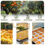 Fraunitsh Dried Orange Slices, Dehydrated Dried Oranges Slices for Cocktails, Garnishes, Cakes, Crafts & Tea Drinks, 3.17oz/90g, No Sugar & No Additives