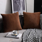 Light Brown Throw Pillow Cases: 2 Pack 18x18 Inch Original Stripe Velvet Square Decorative Pillow Covers for Farmhouse Couch