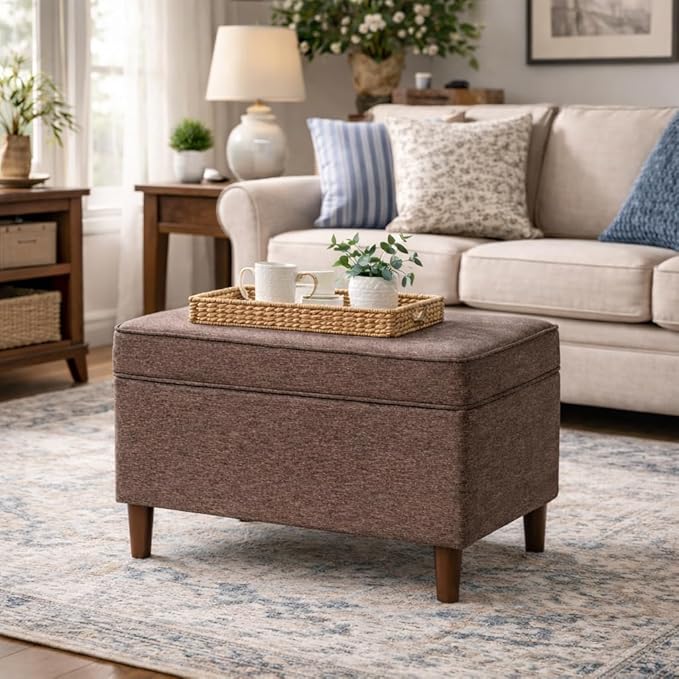 Spatial Order Home Decor | Dinah Collection Modern Storage Ottoman | Ottoman with Storage for Living Room & Bedroom (Chocalate Brown)