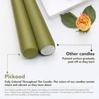 New Burning Formula Unscented Dripless 12-Inch Taper Candles Set of 12 - Olive Green, for Wedding, Dinner - Smokeless, Long Burning - Hand Poured, Colored Tall Candlesticks - Verde Oliva