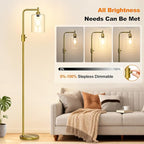 【Upgraded】Dimmable Floor Lamp for Living Room with Clear Glass Lampshade, Brass Modern Floor Lamp with 900LM Edison Bulb Included, Bright Standing Tall Lamp for Bedroom, Office, Reading Room, Corner