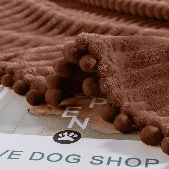 DISSA Fleece Blanket Twin Size – 60x80, Caramel – Soft, Plush, Fluffy, Fuzzy, Warm, Cozy – Perfect Throw for Couch, Bed, Sofa - with Pompom Fringe - Flannel Blanket Throw Blanket