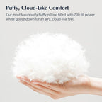 Pacific Coast White Goose Down Pillow with 100% Cotton Shell, Luxury Hotel Bed Pillow for Sleeping, Suitable for Back and Stomach Sleepers, King Size