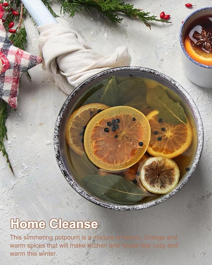 Spring Simmer Pot Potpourri Dried Lemon Slices, Grapefruit, Lime, Orange, Peppercorn, Salt & Bay Leaf, Stovetop Simmering Potpourri Kits for Hostess/Office/Housewarmings/Open Houses Gifts