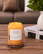 M&SENSE Fall Harvest Scented Candles, 19.4oz 110 Hours Large Natural Soy Long Lasting Slow Burning 2 Wick Scented Candle for Relaxing Stress Relief & Holiday
