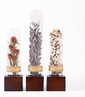 3Pcs Dried Flower Decor,Knick Knacks for Shelves,Cool Stuff for Bookshelf,Small Plants Decor for Office Shelves,Natural Green Plants Boho Shelf Decor,Apothecary Decor,Unique Gifts for Women,Friends