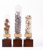 3Pcs Dried Flower Decor,Knick Knacks for Shelves,Cool Stuff for Bookshelf,Small Plants Decor for Office Shelves,Natural Green Plants Boho Shelf Decor,Apothecary Decor,Unique Gifts for Women,Friends