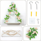 Shelf for Wall,Floating Shelves,Floating Shelves for Wall No Drilling,Adhesive Shelves,Command Strip Shelf,Room Decor Aesthetic,Plant Shelf Wall,Whimsical Decor,2-Piece Set(Champagne flowers)
