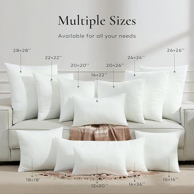 Ashler Throw Pillow Inserts- 20x26 Pillow Inserts with Air Layer, Premium Bed and Couch Pillows - Indoor Decorative Throw Pillow, Lumbar Cushion Sham Stuffer, Pack of 2, White