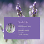 Aera Mini Lavender - Essential Oil for Home - Calming and Meditative Fragrance - Notes of Lavender, Chamomile and Cedar Leaf- Scent Refill - Capsule Size Works with Mini Diffuser