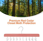 TOPIA HANGER Cedar 2 Pack 2 in 1 Belt Tie Hanger for Closet Max 60 Belts with 60 Ties Capacity, 20 Hooks Belt Tie Racks Hanger for Closet Organizer Storage Curved Fit Belt and Flat Fit Tie - CT60C