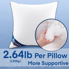 Siluvia 24x24 Pillow Inserts Set of 2 Square Throw 24 Euro Pillows with 100% Cotton Cover for Sofa, Couch, and Bed - White