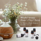 JCLOUD Hotel Diffuser Oils Set | Top 6 Luxury Hotel Inspired Essential Oils for Diffuser for Home, Pure Aromatherapy Diffuser Oil Gift Set, Home Luxury & Hotel Scents for Diffuser - 6x10mL