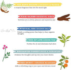 Folkulture Incense Sticks (120 Sticks) | Set of 6 Premium Incense Sticks For Relaxation, Aromatherapy| No Charcoal, Organic, Non Toxic, 45 Mins, Long Burning Coconut, Mango,Aqua, Orange Insence-Sticks