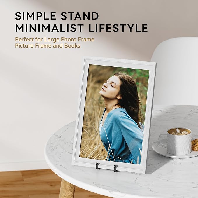 10 Inch Large Plate Stands for Display - Metal Plate Holder Display Stand + Small Easels Picture Stand for Book, Platter, Plaque, Photo Frame, Tabletop Art (2 Pack)