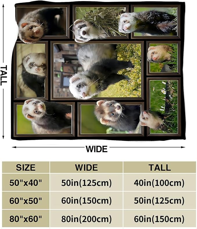 Cute Ferret Blanket for Women Girls Boys Men Funny Animal Ferrets Throw Blanket Plush Cozy Flannel Fleece Ultra Soft Fuzzy Blankets Gifts 60"X50"