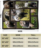 Cute Ferret Blanket for Women Girls Boys Men Funny Animal Ferrets Throw Blanket Plush Cozy Flannel Fleece Ultra Soft Fuzzy Blankets Gifts 60"X50"