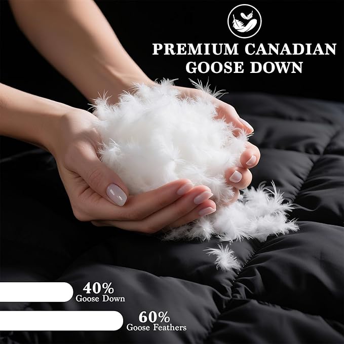 Shilucheng Goose Down Pillow Queen Size Set of 2 Pack,900+ Fill Power Luxury Hotel Quality Bed Feather Pillow for Side Back Stomach Sleepers, Soft 100% Cotton Shell（White,20" x 30"） FX