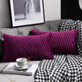 12x20 Purple Throw Pillow Cases: 2 Pack Original Striped Velvet Rectangular Decorative Pillow Covers for Farmhouse Couch