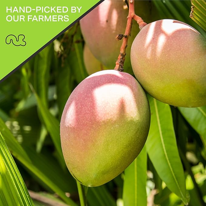 NUT CRAVINGS - Dried Mango Slices, Lightly Sweetened (16oz, 1 LB) Tu Bishvat Favorite - Sweet Healthy Snack, Vegan, Kosher, Resealable Bag