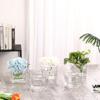 Square Glass Vases Set of 4, 5" x 5" x 5" Clear Flower Vases for Centerpieces, Square Vase for Flowers, Small Vase for Wedding, Party, Home Office Decoration