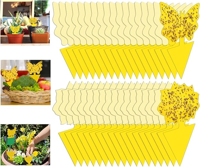 54 Pack Fruit Fly Trap for Indoor, Gnat Traps for House Indoor, Fungus Gnat Killer Sticky Traps for Plants, Mosquitoes, Flying Insects