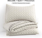 HORIMOTE HOME Quilt Set Twin Size Beige Bedspread, Modern Style Quilted Clouds Pattern Soft Coverlet Set Lightweight Microfiber Quilted Bedspread for All Season, Includes 1 Quilt and 1 Pillow Sham