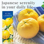Yuzu Citrus Luxury Japanese Incense Sticks 60sticks Lemon Orange Mndarin Musk Coreless Low Smoke Natural Charcoal Free Non Toxic Aromatherapy Meditation Calming Stress Relief Relaxation Yoga TOMORI