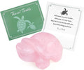QINJIEJIE Rose Quartz Crystal Travel Turtle Figurines Healing Crystals Best Travel Gifts for Women Men Travelers Sea Turtle Lovers Office Desk Decor Good Luck Gifts for Traveling Abroad