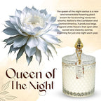 VIONAMI Luxury Scented Candle Gift – Queen of The Night Rare Flower Fragrance in Elegant Glass Jar, Decorative Soy Candles Gifts for Women, Long-Lasting 80 Hr, 14.8 oz, Luxury Candles for Women