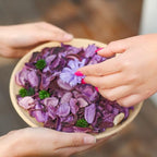 Spring Potpourri Bags, Purple Potpourri Bowl Filler,Lavender Scented Decorative Dried Flower,Home Fragrance Sachet,Vase Decor-Mini